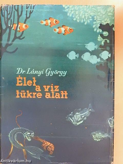 Élet a víz tükre alatt