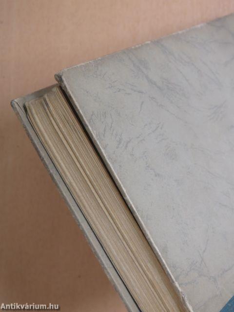 Orvos az őserdőben