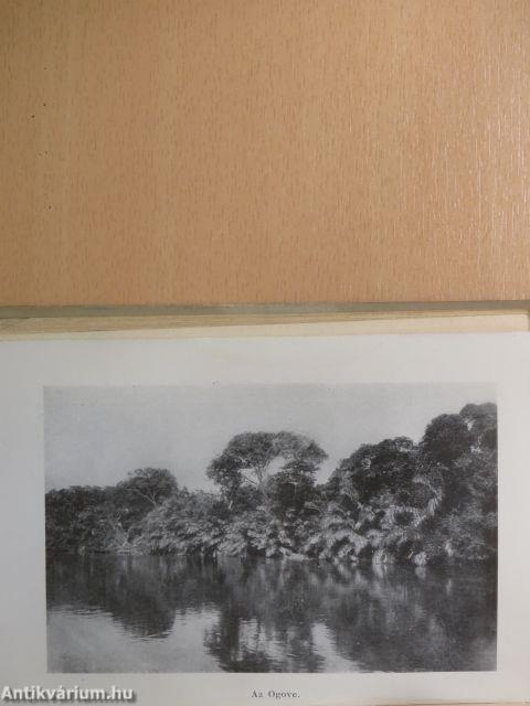 Orvos az őserdőben