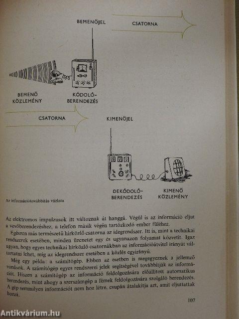 Kibernetikai kis enciklopédia