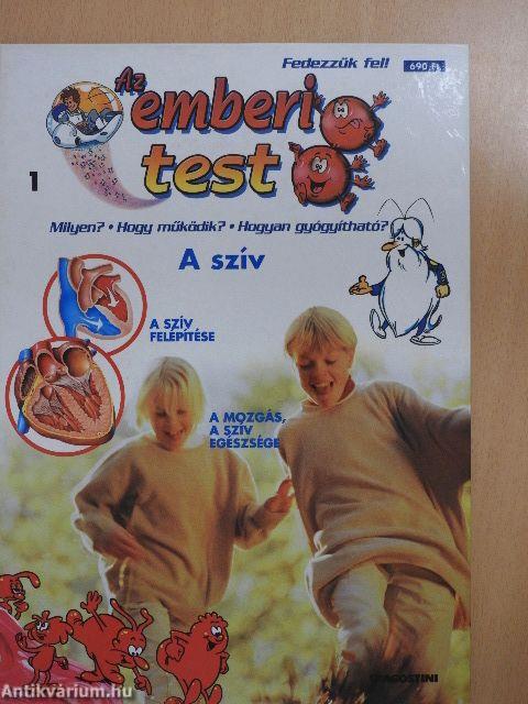 Az emberi test I.