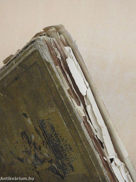 Az 1848-49-iki magyar szabadságharcz története I. (töredék) (rossz állapotú)