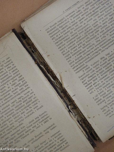 Az 1848-49-iki magyar szabadságharcz története I. (töredék) (rossz állapotú)