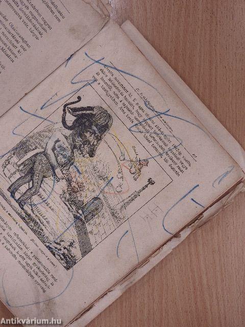 Az 1848-49-iki magyar szabadságharcz története I. (töredék) (rossz állapotú)