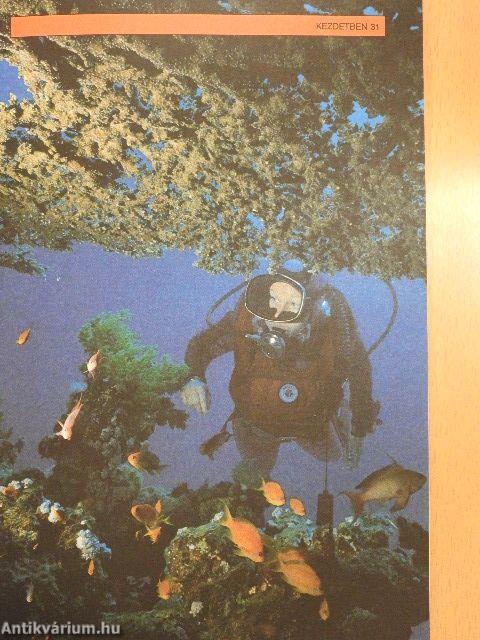 Ismerkedjünk a Bibliával