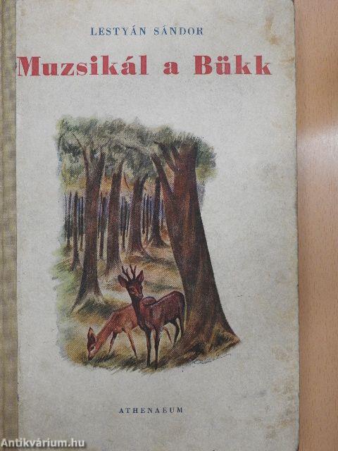 Muzsikál a Bükk