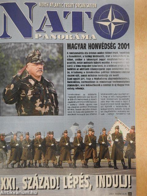 Top Gun 2001. március