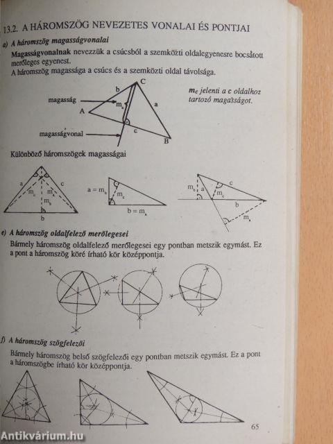 Természettudományi összefoglaló