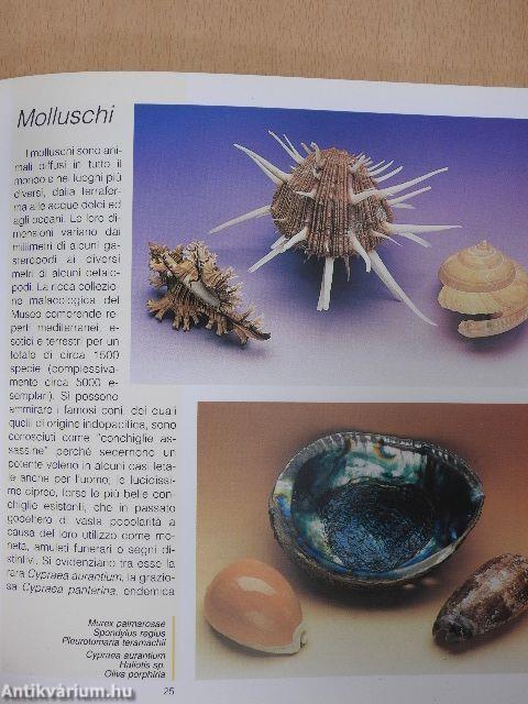 Le Collezioni Naturalistiche 1.