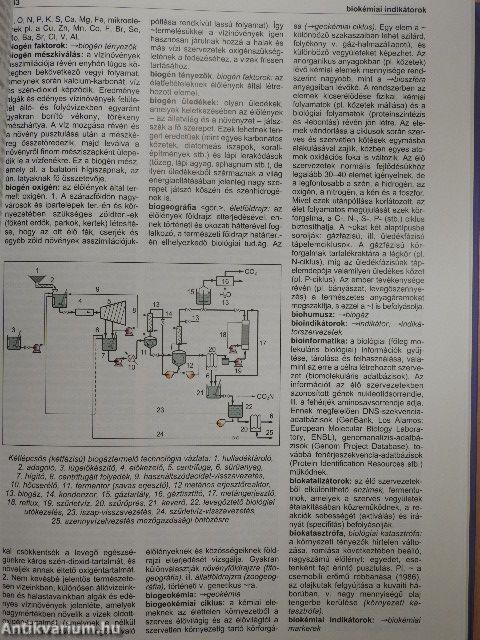 Környezet- és természetvédelmi lexikon I-II.