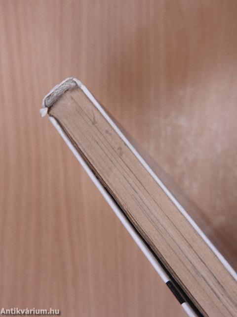 Bibliai lexikon gyerekeknek