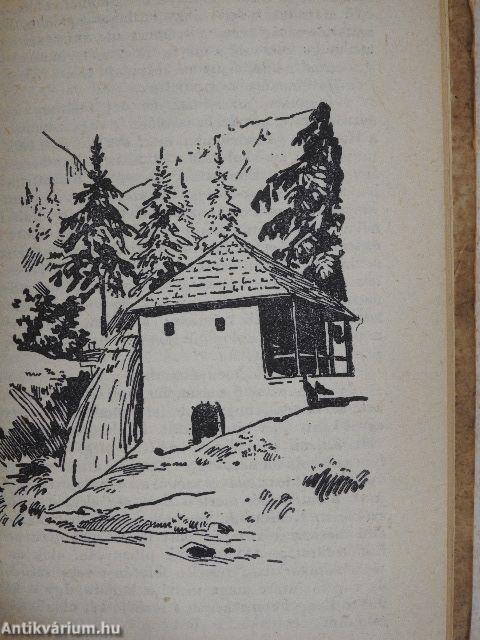 Hazai tükör I-II.
