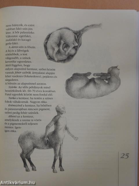 A kentaur természetrajza (dedikált példány)