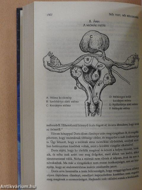 Női test, női bölcsesség