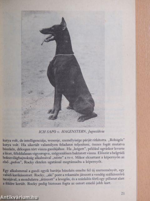 Barátunk a dobermann