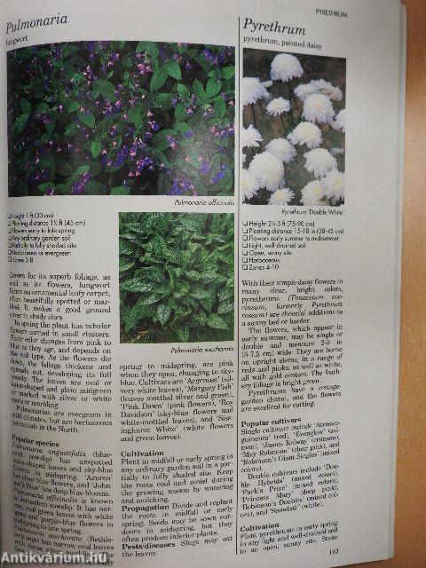 A-Z of Perennials