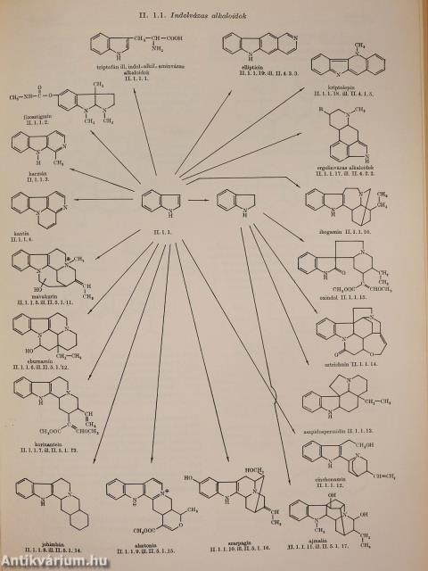 Természettudományi lexikon 1-7.