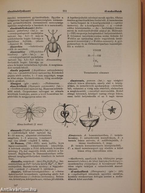 Természettudományi lexikon 1-7.