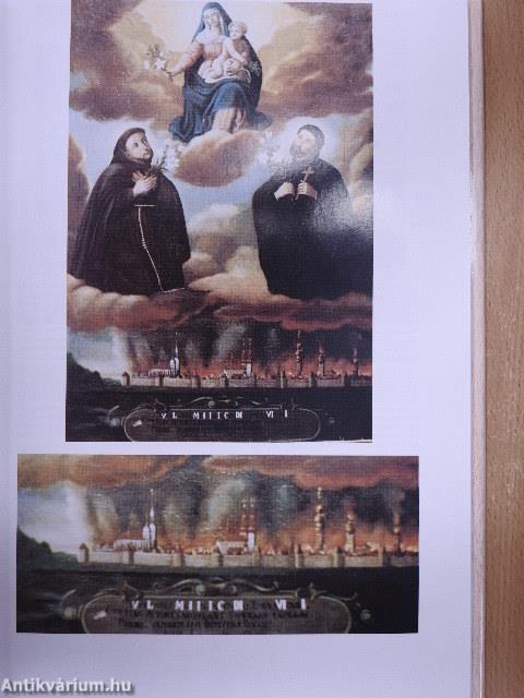 Stará Trnava v obrazoch