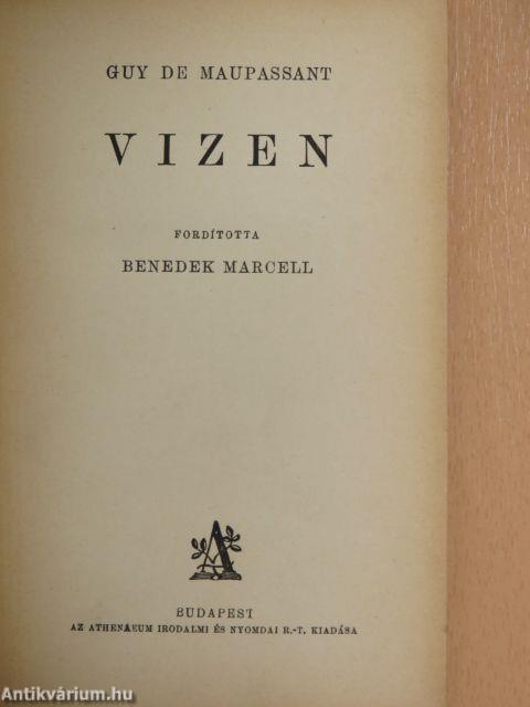 Vizen