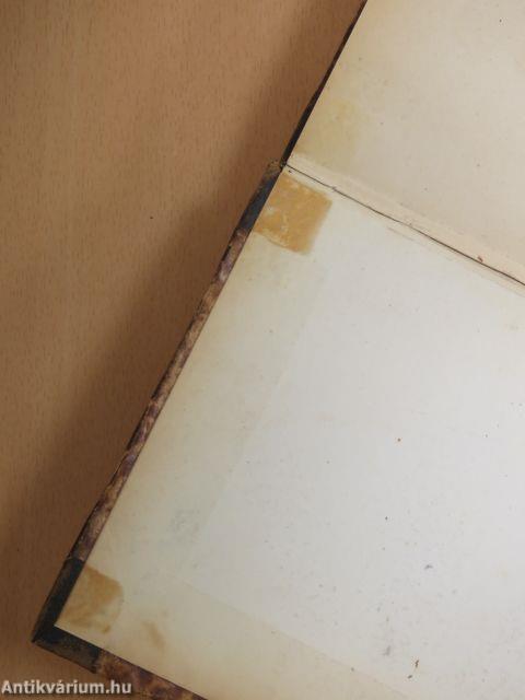 Die katholische Wahrheit ober die theologische Summa des heiligen Thomas von Aquin VII. II/2. (gótbetűs)