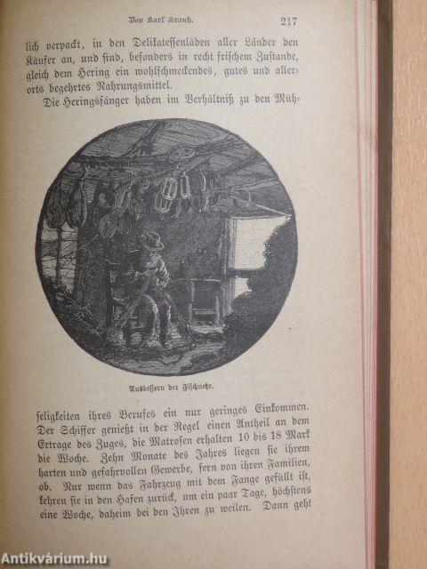 Bibliothek der Unterhaltung und des Wissens 1893/4. (gótbetűs)