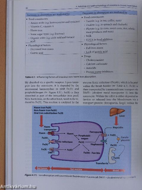 Anaemia in chronic heart failure