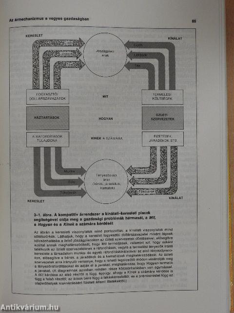 Közgazdaságtan I-III.