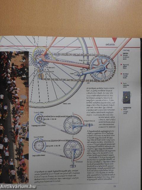 Megmagyarázzuk a tudományt