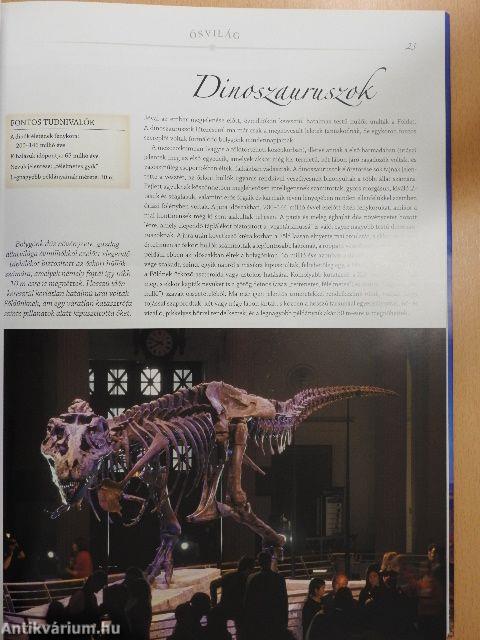 A természet csodái