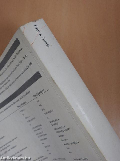 Microsoft Excel Version 5.0