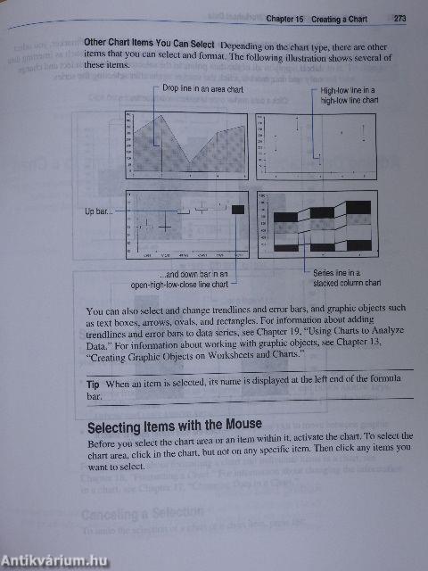 Microsoft Excel Version 5.0
