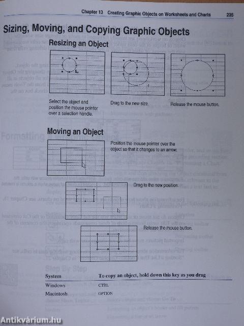 Microsoft Excel Version 5.0
