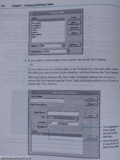 Microsoft Query Version 1.0