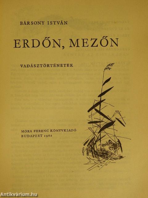 Erdőn, mezőn