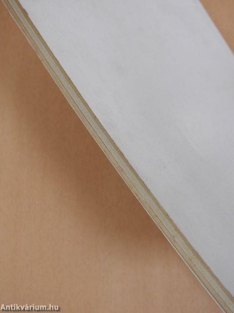 Zala megye története