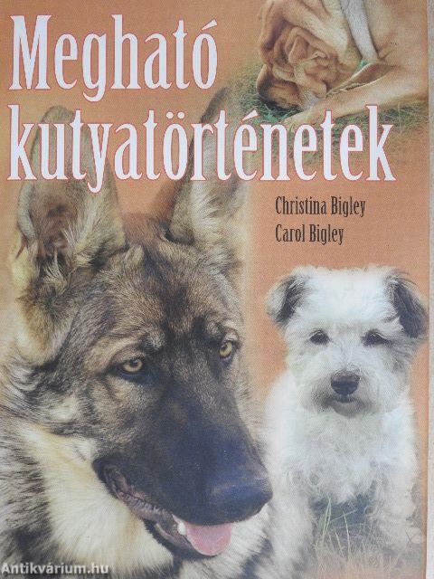 Megható kutyatörténetek