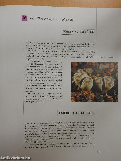 Varázslatos virágok