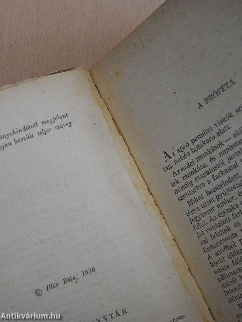 Kárpáti rapszódia I-II.