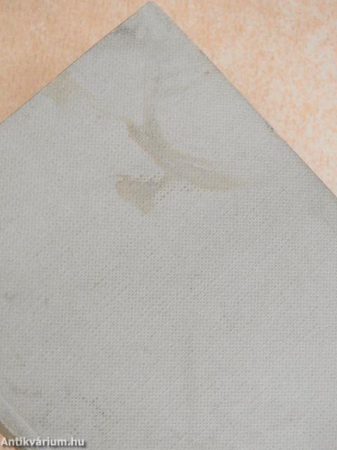 Szlovák-magyar szótár