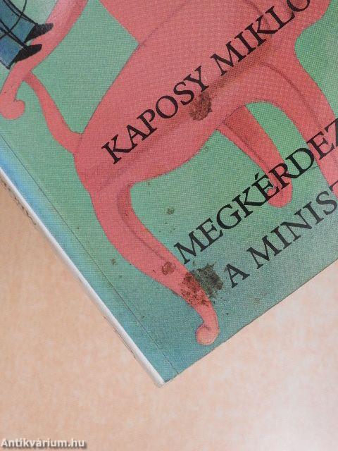 Megkérdeztem a minisztert