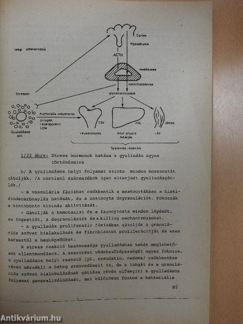 Kórélettani előadások