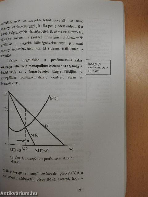 Bevezetés a mikroökonómiába