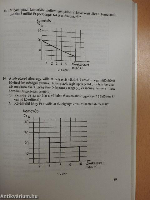 Mikroökonómiai példatár és feladatgyűjtemény