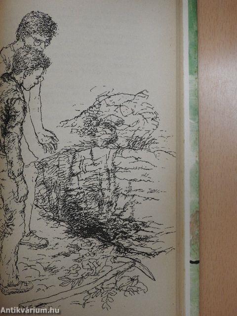 Kincskereső Pipitér