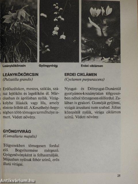 Barangolás Zalában