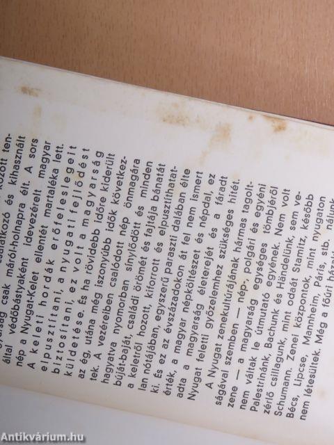 A magyar muzsika mesterei