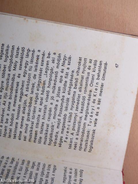 A magyar muzsika mesterei