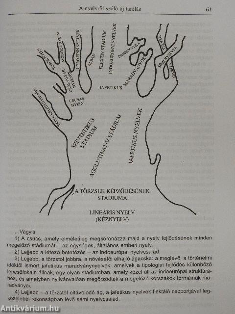 A marrizmus-szindróma