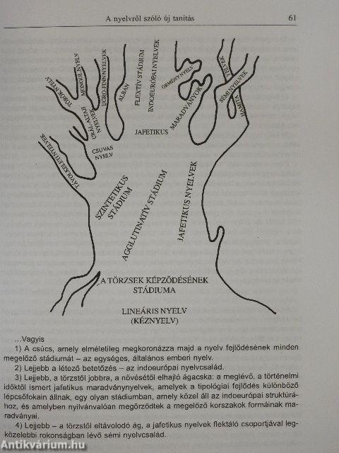 A marrizmus-szindróma